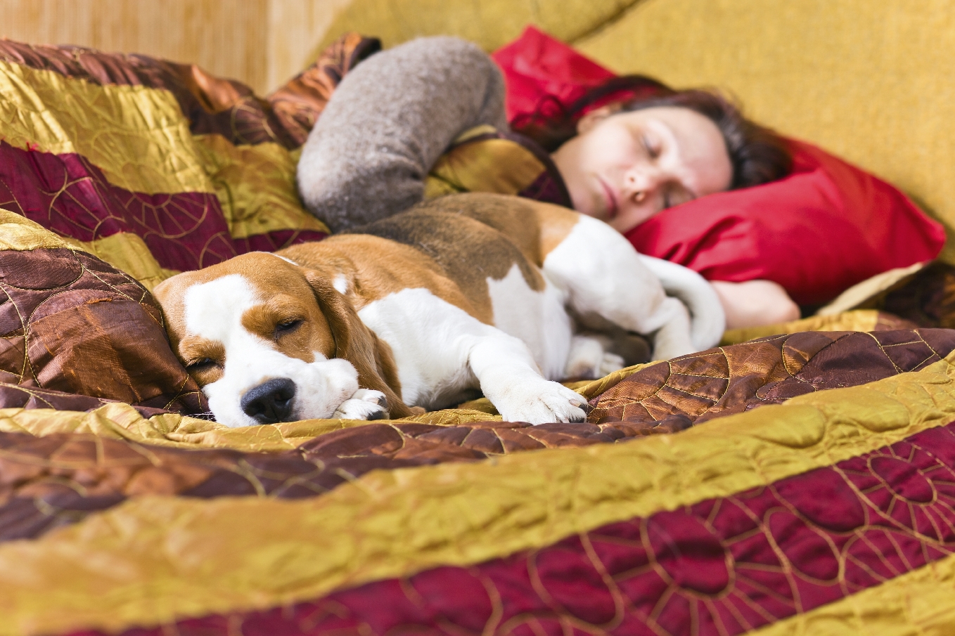 Foto: companion/iStock